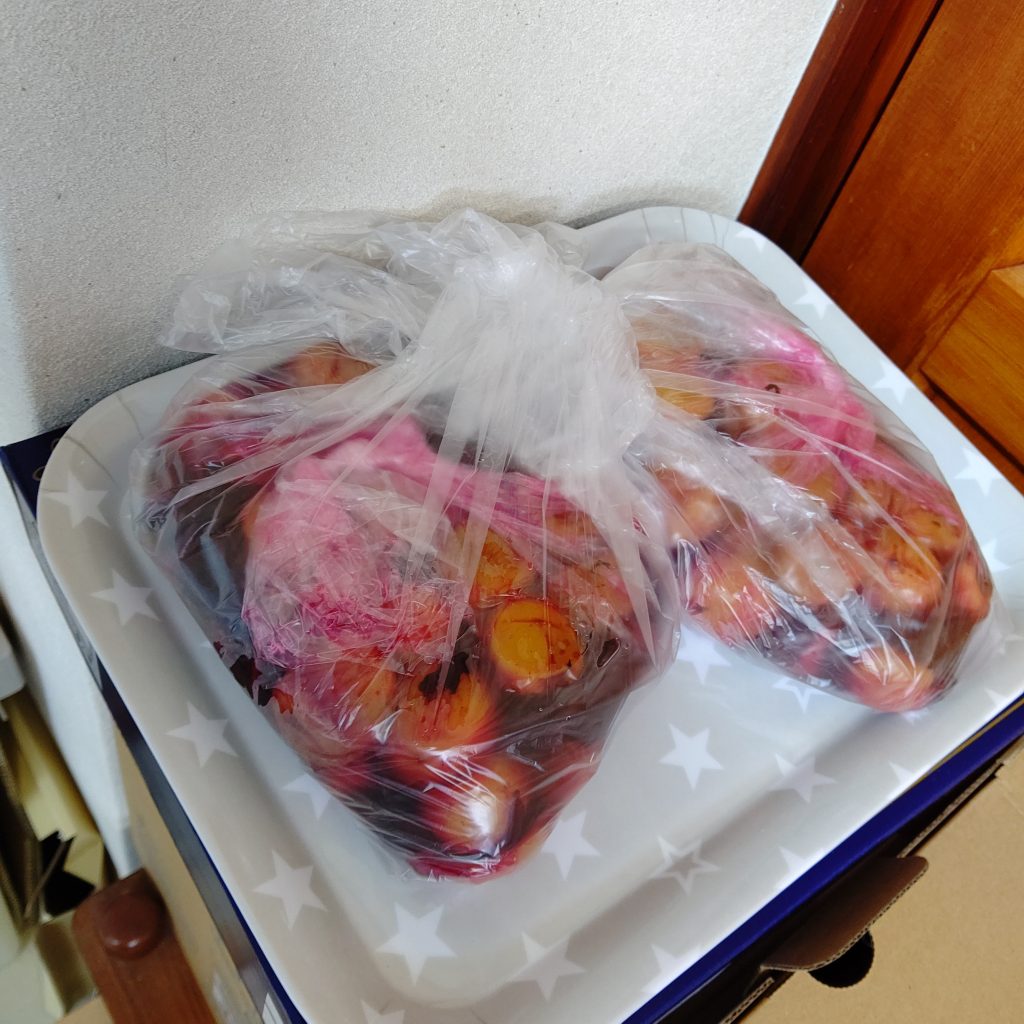 梅しごと その後