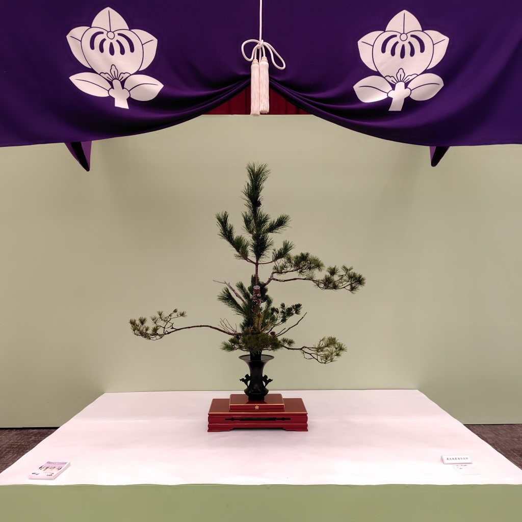 池坊鹿児島県連合支部花展