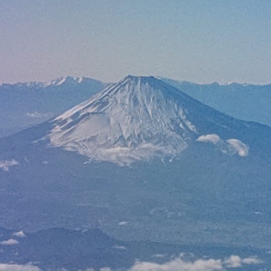 戻ってきました