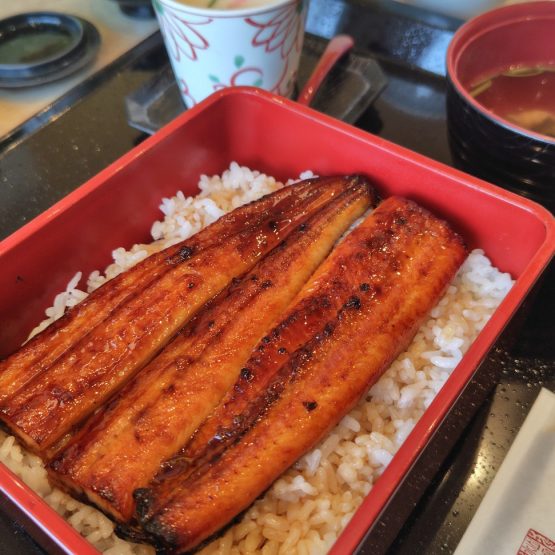 大崎町に来ました