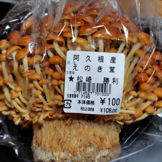 松﨑さんちのブラウンえのき