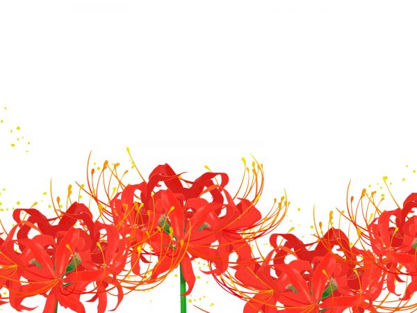 10月になりました！