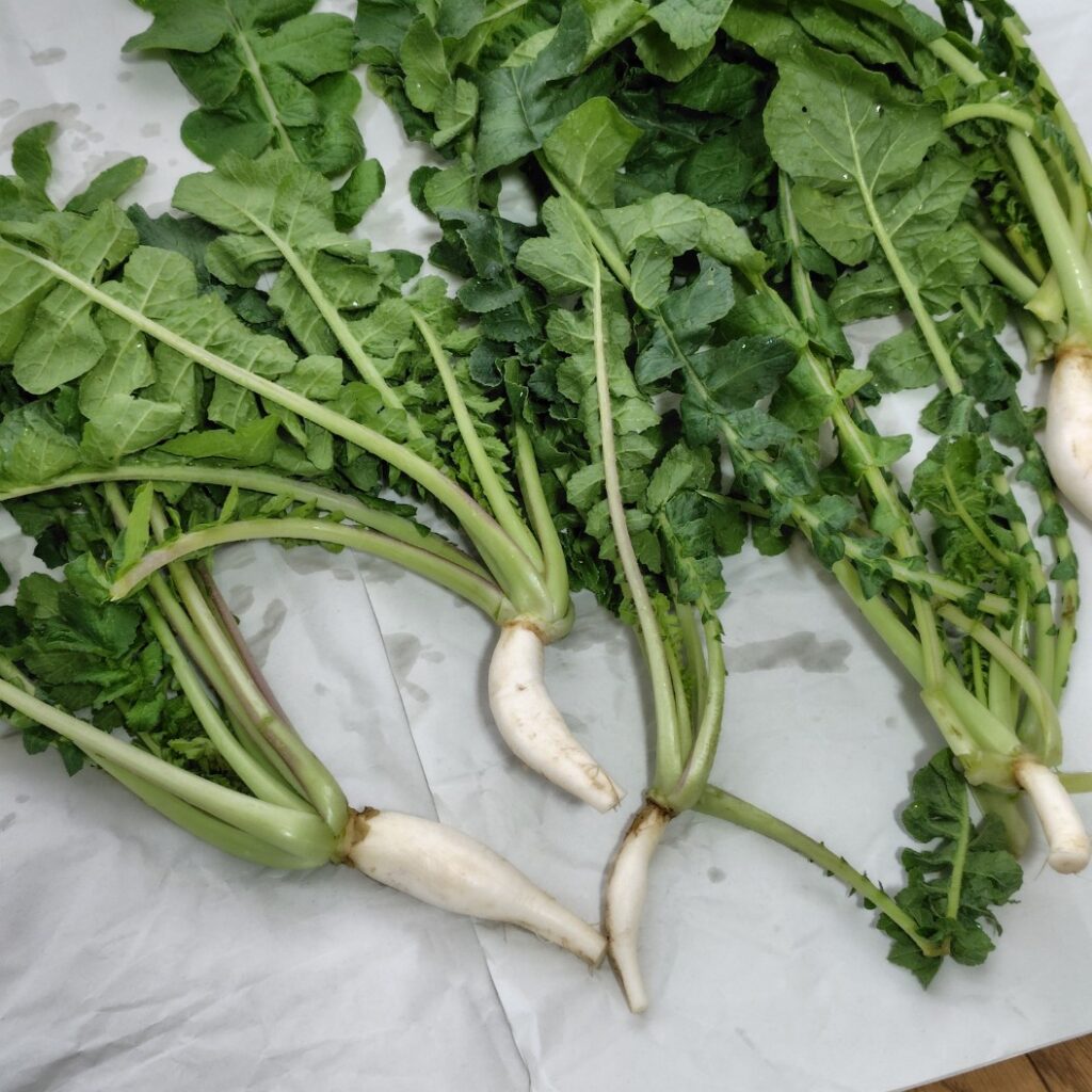 見つけました～♪