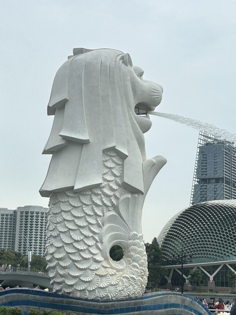 到着したようです