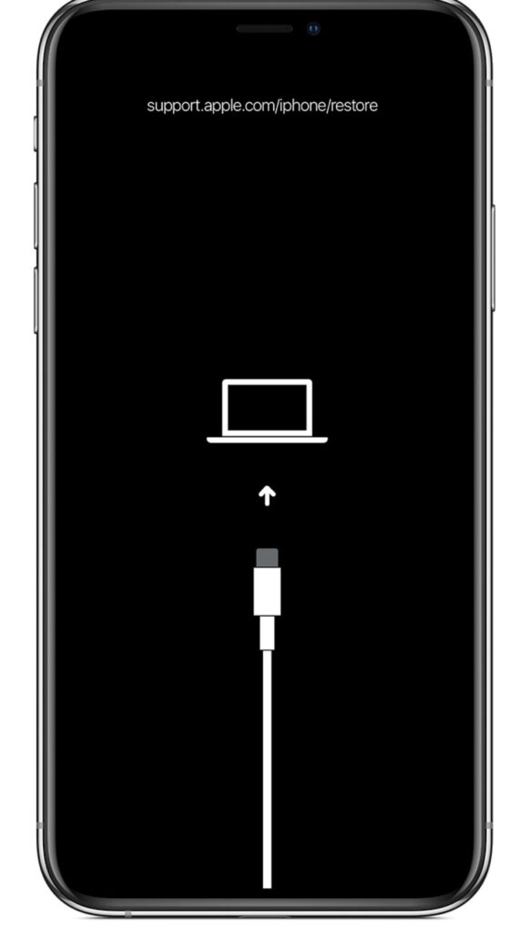 ホントにあちこち・・・