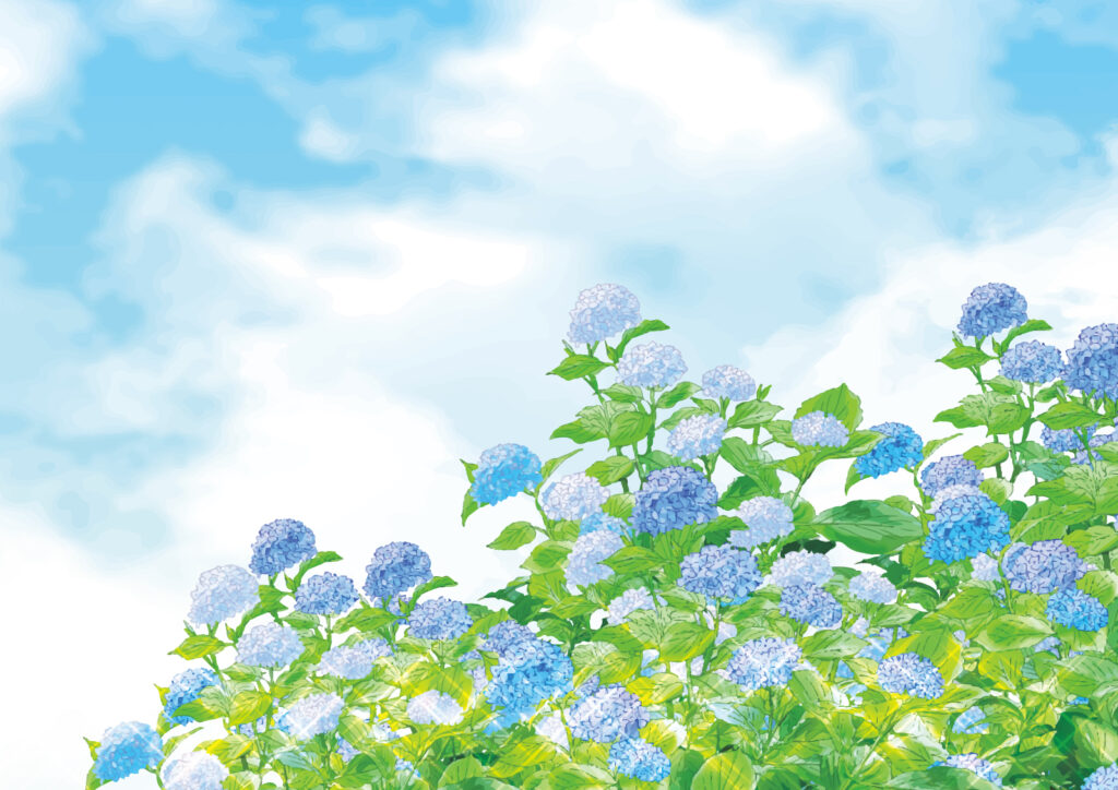 梅雨の晴れ間