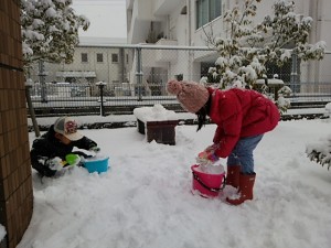 雪国かごしま？