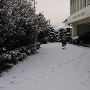 雪！