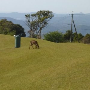 こんなところに！