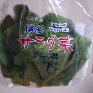 サラダ菜が1円・・・