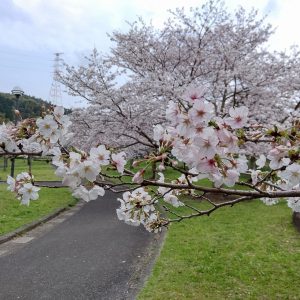 久しぶりに
