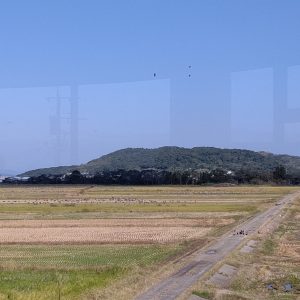 鶴ガイド検定