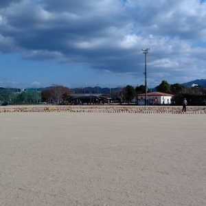 出水が元気になるお手伝い