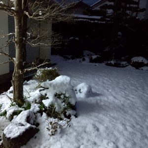 雪！