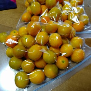 下準備