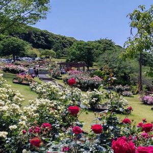 錦江湾公園