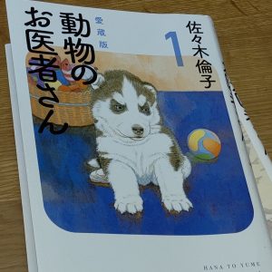 最近はまっているもの