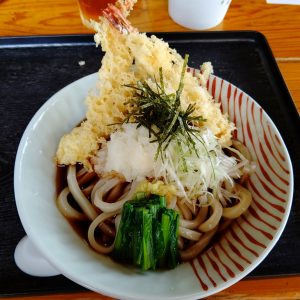 つちや生うどん