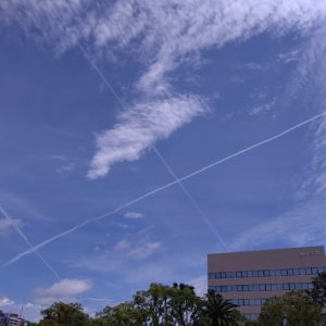 今朝も雨です