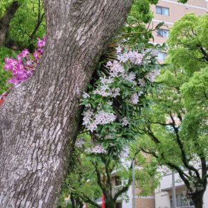 信号待ちで