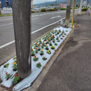 花いっぱいプロジェクト