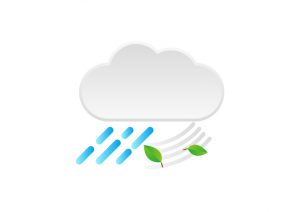雨ですねぇ