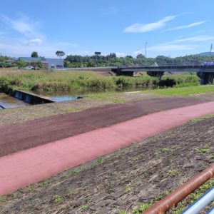 昨日の駅伝は